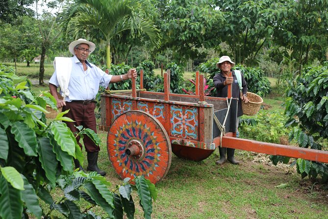 Craft Specialty Coffee and Chocolate Tour at North Fields, La Fortuna Costa Rica - Pricing and Booking