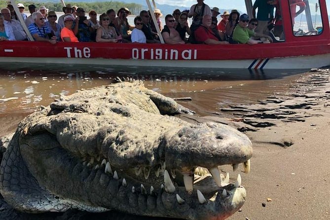 Crocodile Man Tour THE ORIGINAL - Booking Information