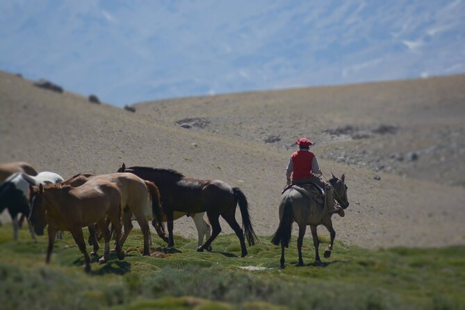 Crossing the Andes on Horseback in a 5-Day Tour - Itinerary Details