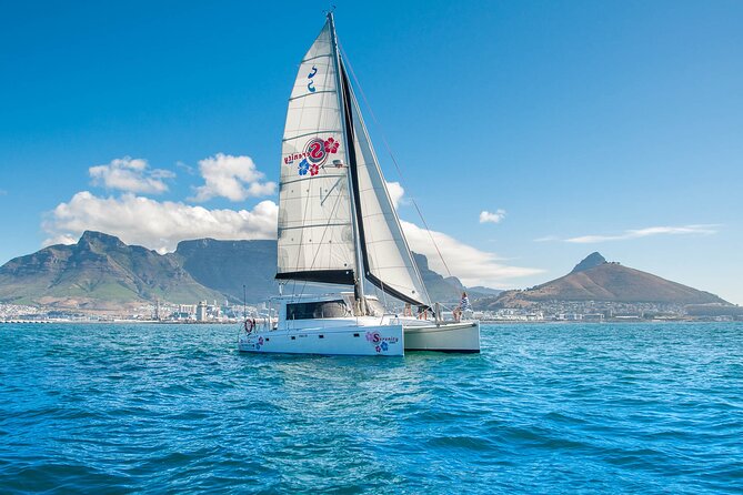 Cruise and Dine Dinner / Cape Town: Sunset Champagne Cruise and 3-Course Dinner - Meeting and Pickup