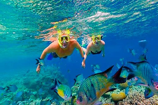 Cruise Ship Multiple Snorkeling, Snacks, Music & Private Vehicle - Itinerary Details