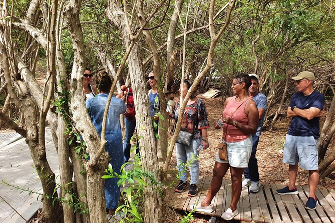 Curacao Contemporary Art Tour" or "ART-HISTORY-NATURE TOUR" - Inclusions