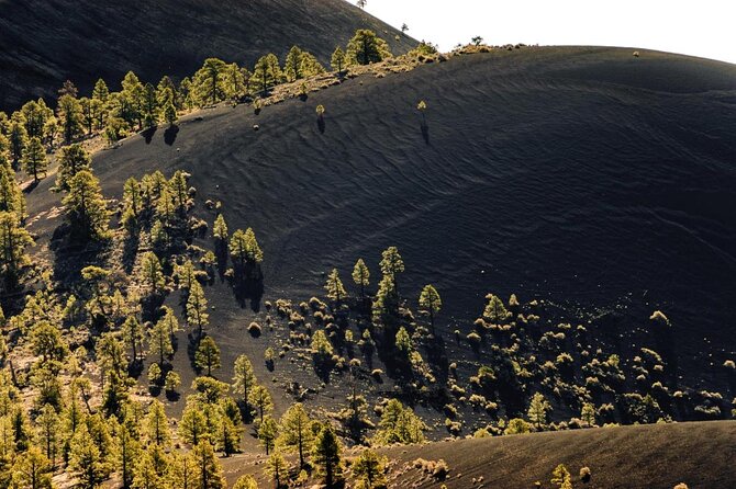 Custom Private Flagstaff Day Tour From Phoenix - Itinerary Options