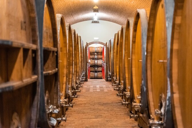 Custoza Doc 2 Hours Wine Tasting With Lunch at the Winery - Sample Menu Delights