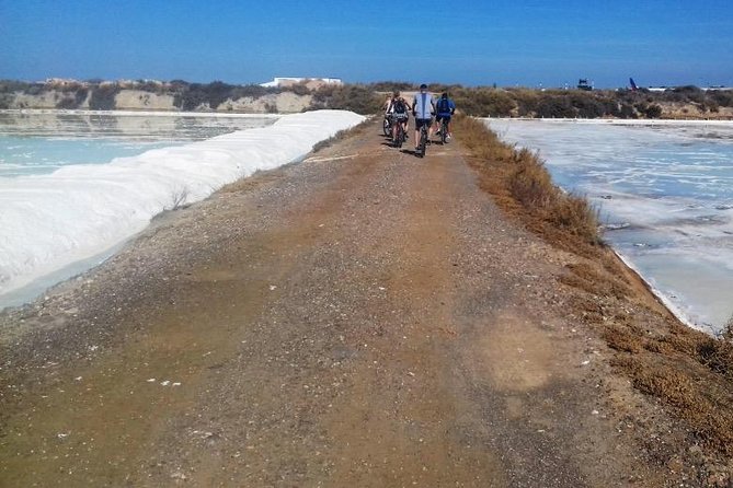Cycling the Algarves Ria Formosa From Faro - Cycling Route Highlights