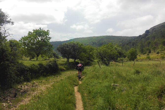 Cycling to Conimbriga Roman Ruins, Self-Guide, Full-Day From Coimbra - Additional Information