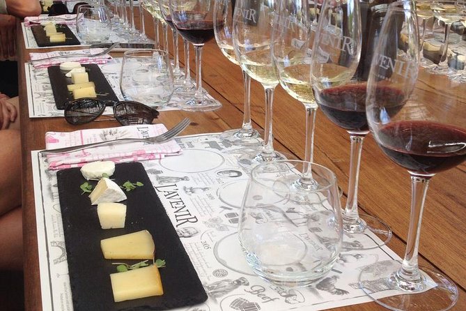 Daily Different Small Group WINE Tour - STELLENBOSCH PICKUP Only - Cancellation Policy