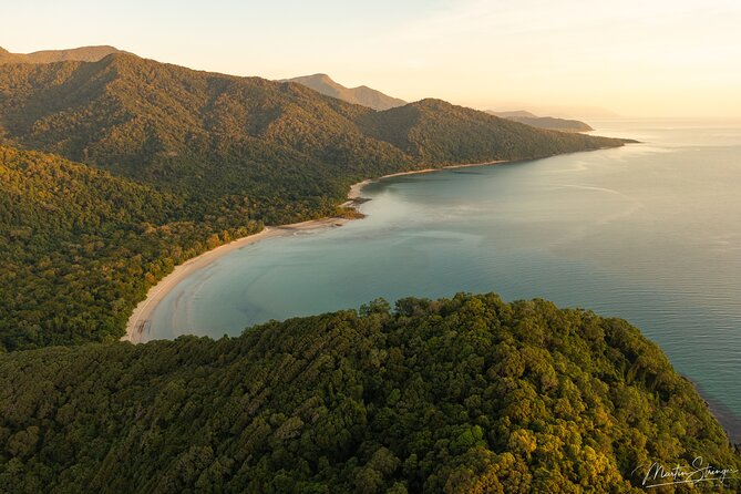 Daintree Ancient Giants Easy Rainforest Hike, Beach, Swim & Lunch - Hiking Difficulty Level