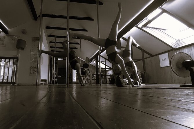 Dance Class (choose 1: Pole Dance, Burlesque or Aerial Silk/Hoop) - Whats Included