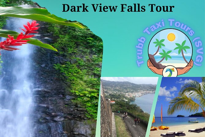 Dark View Falls Tour With Trubb Taxi Tours SVG - Cancellation Policy