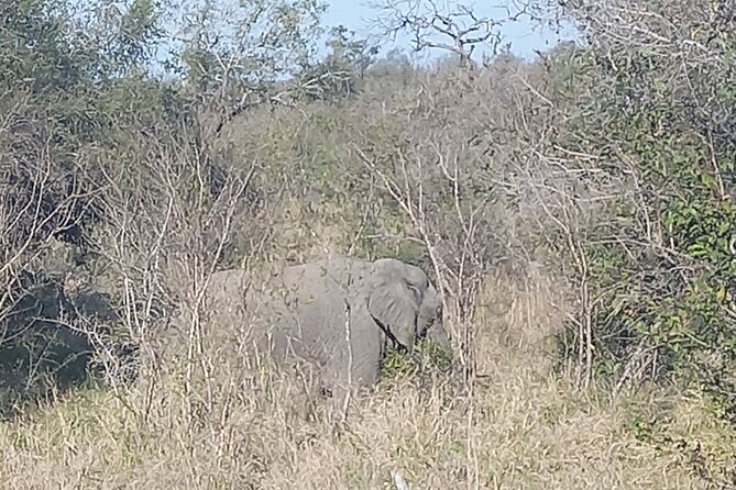 Day Safari in Pilanesberg National Park - Landing and Facility Fees