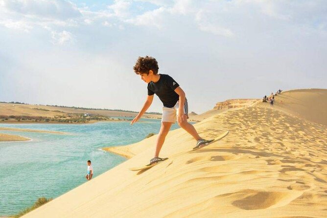 Day Tour in Whales Valley and Wadi El Rayan Water Falls - Itinerary Overview