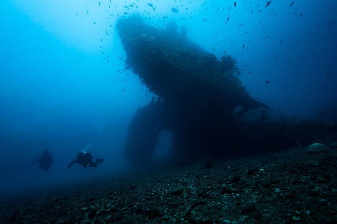 Day Trip Certified Divers - 3 Dives in Tulamben (Pick-Up & Drop-Off Included) - What To Expect