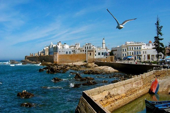 Day Trip To Essaouira - Traveler Photos