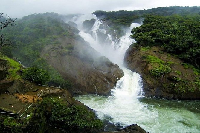 Day Trip to Mollem National Park Including Dudhsagar Falls and Jeep Safari From Goa - Trip Highlights