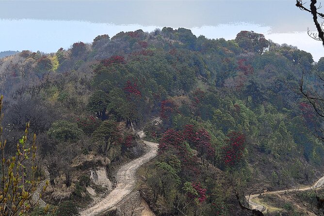 Day Trip to Singalila (Guided Private Sightseeing Experience From Darjeeling) - Overview and Inclusions