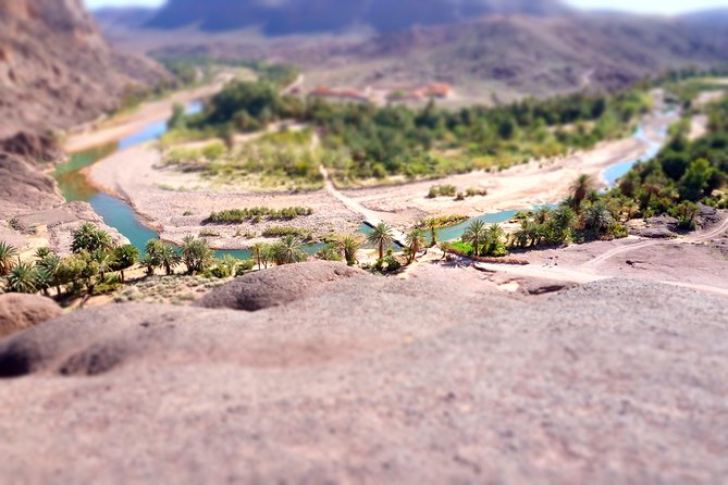 Day Trip to Visit Ouarzazate - Outdoor Activities in Ouarzazate