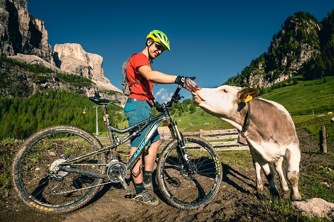 Day With Private Bicycle Guide in Cortina Dampezzo - Itinerary and Highlights