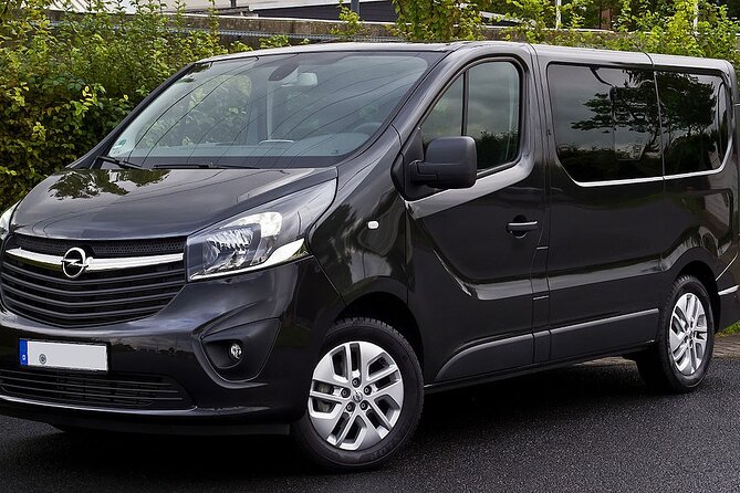 Departure Private Transfer: Palermo City to Palermo Airport PMO by Minivan - Logistics