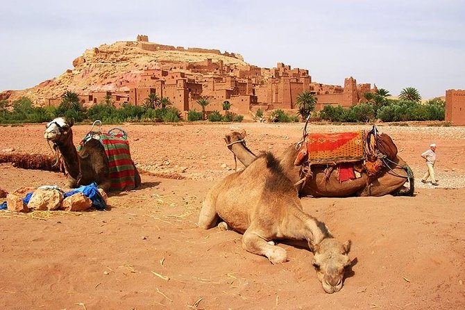 Desert Trip in Morocco Three Days Merzouga - Itinerary Overview