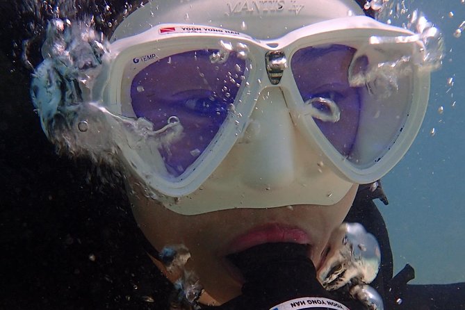 Discover Diving - Essential Diving Gear