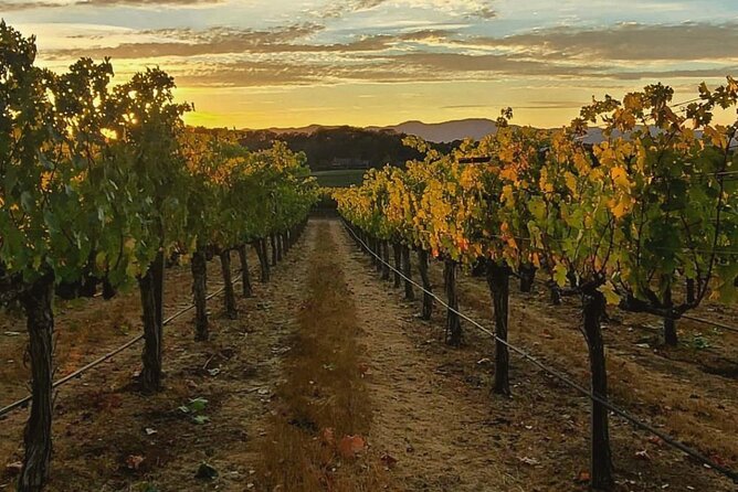 Discover Napa Valley'S Hidden Gems With Local Sommelière - Tasting Rare and Local Wines