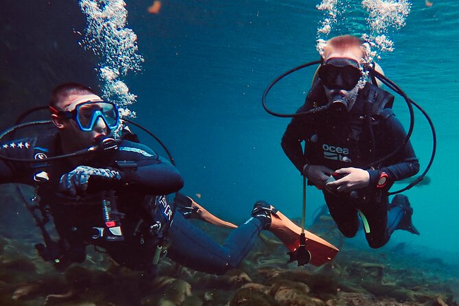 Discover Scuba Diving On The Beautiful Rainbow River - Overview and Whats Included