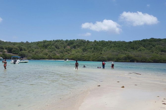 Discover the Islands in the Bay of Le Robert - Kayak Rental Half Day - Meeting and Pickup