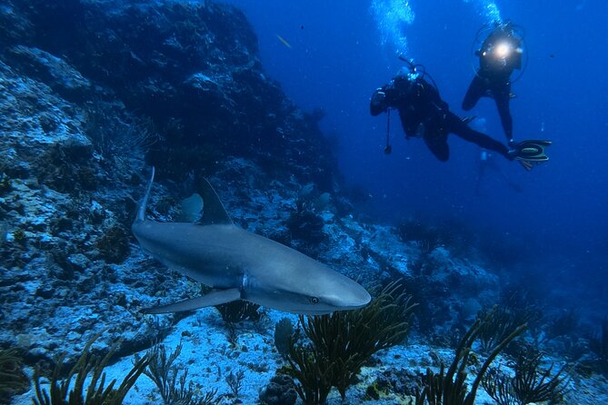 DiveCarib - An Eco-Friendly Certified Diver Trip in Antigua - Whats Included and Meeting Point