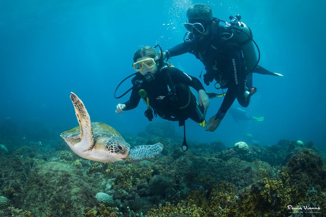 Diving for Beginners and Accredited - Búzios RJ - Inclusions