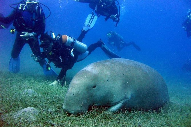  Diving Full Day Boat Trip - Marsa Alam - Diving Locations