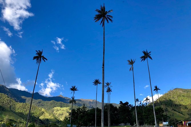 Do It Yourself 11 Days Tour in Colombia (Customizable) - Itinerary Overview