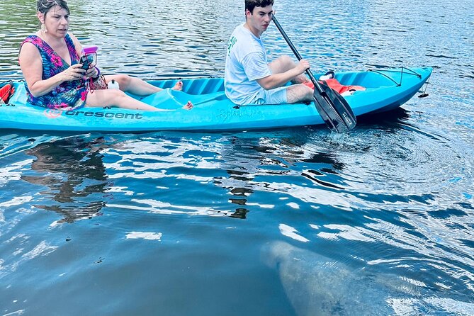Dolphin and Manatee Adventure Tour of Cocoa Beach - Itinerary Overview