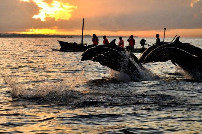 Dolphin Tour and Sunrise Watching in Lovina Beach - All Inclusive - Overview of the Tour