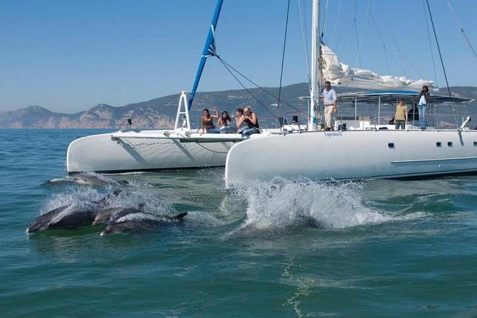 Dolphin Watching: Excursion From Lisbon - Tour Highlights