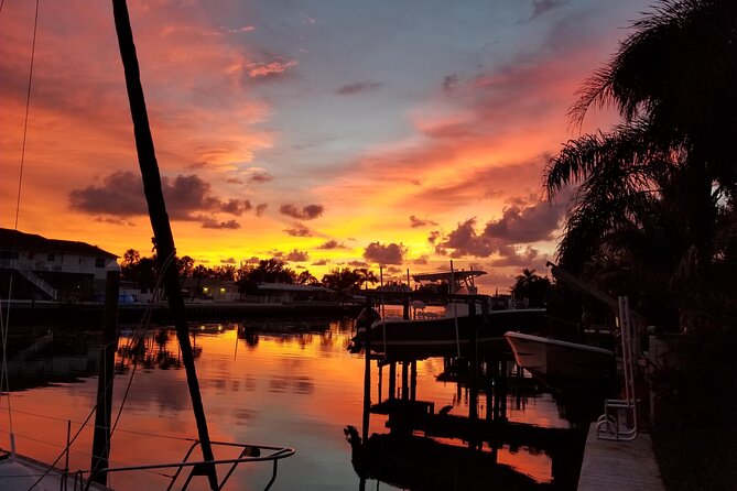 Dolphin Watching Sunset Cruise - Choosing the Right Dolphin Watching Cruise