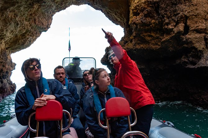 Dolphins and Caves Albufeira Marina Private Tour. - Traveler Photos and Reviews