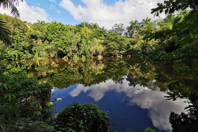 Dominican FLAVOR & COUNTRYSIDE SAFARI Pick-up Included - Inclusions
