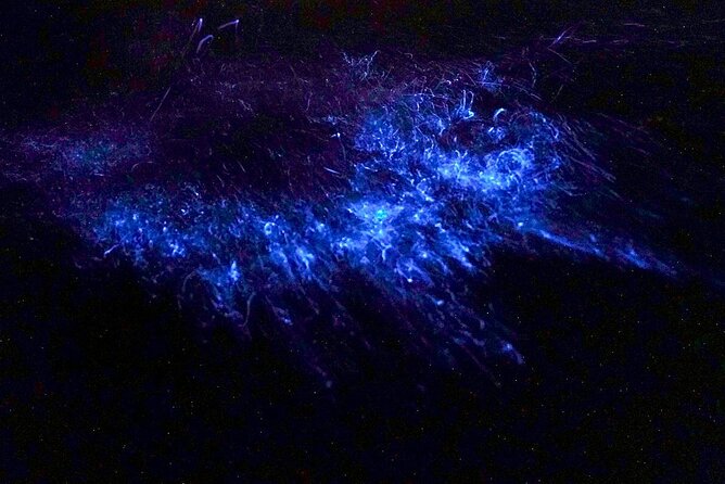 Double Kayak Bioluminescence Tour in Costa Rica - Equipment Included