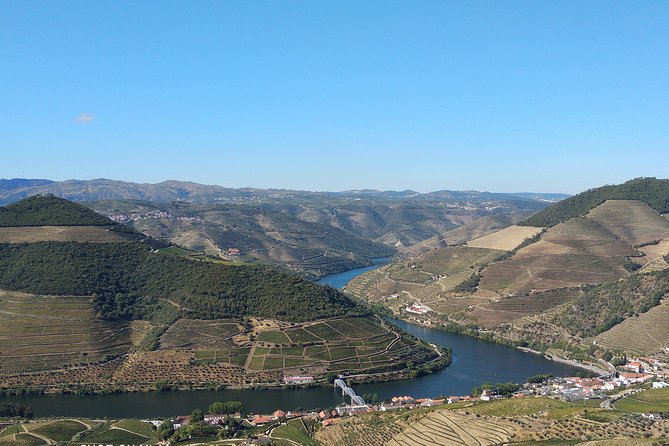 Douro Valley Wine Tour - Guided Tours and Activities