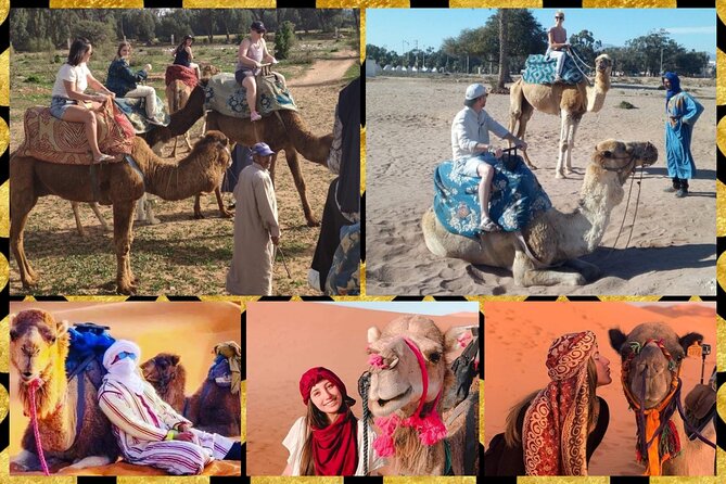 Dromedary Safari: 2 Hours - Non-Refundable and Change Policy