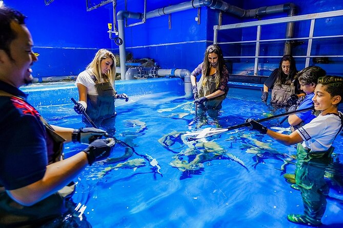 Dubai Mall Aquarium &Underwater Zoo Tickets With Transfer - Cancellation Policy