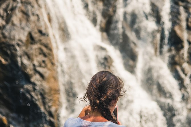 Dudhsagar Waterfall Wildlife & Spice Plantation Tour in Goa - Itinerary Overview