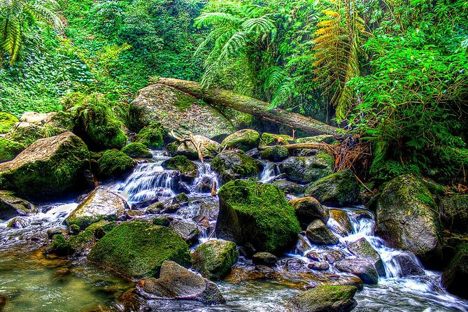 Dumaguete Casaroro Falls & Balinsasayaw Twin Lakes Tour - Booking Details