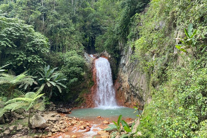 Dumaguete Tours in English - Logistics and Pickup Information