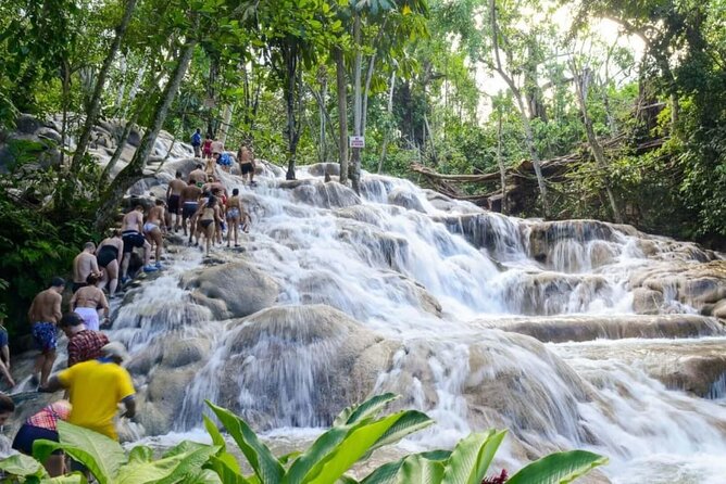 Dunns River Falls & Bob Marley Nine Mile Ocho Rios Comb Tour - Inclusions