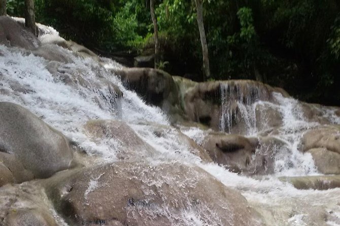Dunns River To Turtle Falls and Park From Ocho Rios - Booking Information