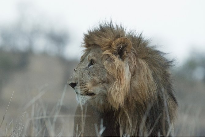 Durban: Hluhluwe Big 5 Budget Safari — Pro Zeiss Binoculars & Safari Guide Books - Safari Itinerary