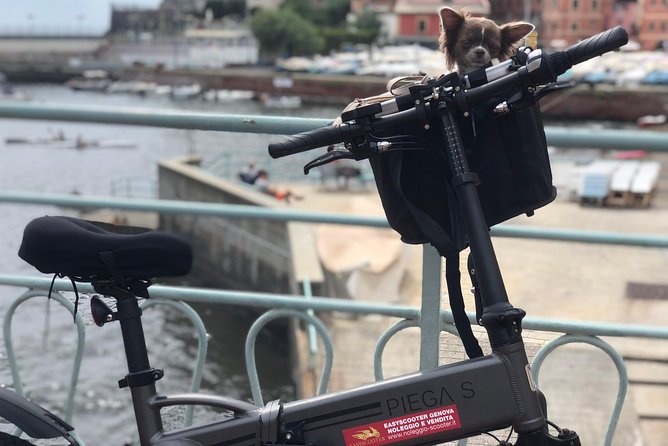 E-Bike, Scooter and Scooter Tour - Exploring the City on a Scooter