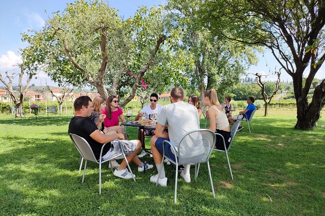 E-Bike Tour and Wine Tasting in Lazise Countryside - Itinerary Overview